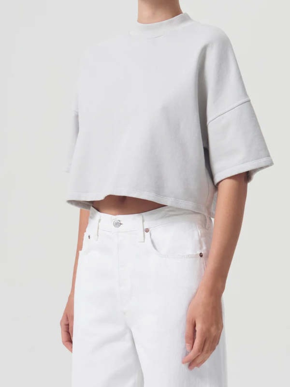 NWT AGOLDE REED FLEECE TEE Size Small